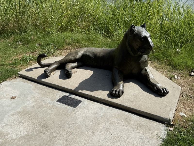 The Riddle Cat — Sumatran Tiger, Waco, Texas