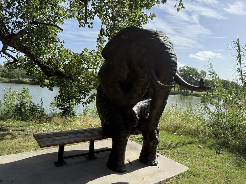 Bernard the Deep Thinker — Wise Elephant, Waco, Texas