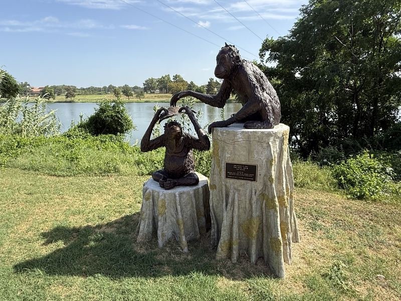 Zip & Zag — The Kids, Waco, Texas