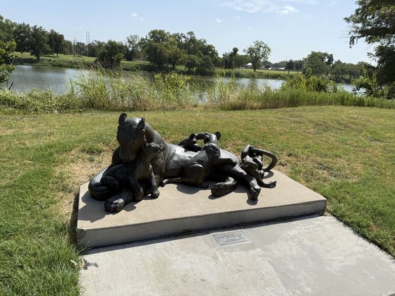 Mama Sunday & the Cub Pile — Lioness with Cubs, Waco, Texas