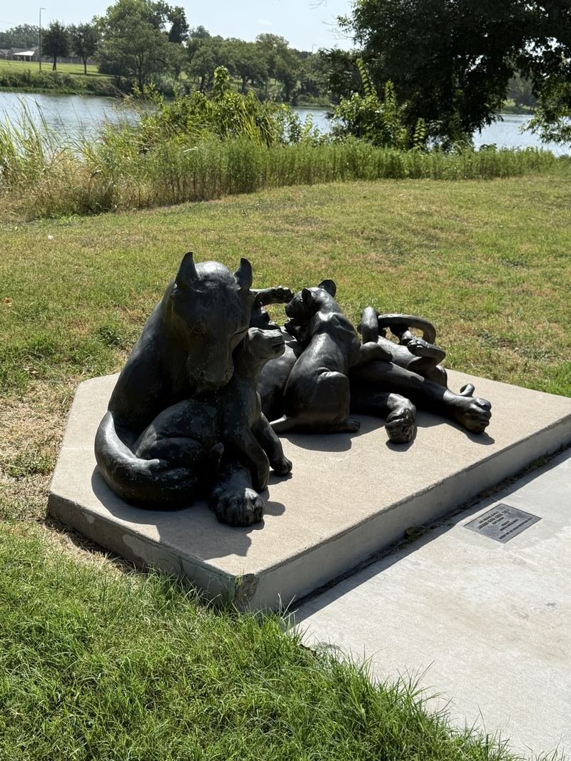 Mama Sunday & the Cub Pile — Close in on the cubs