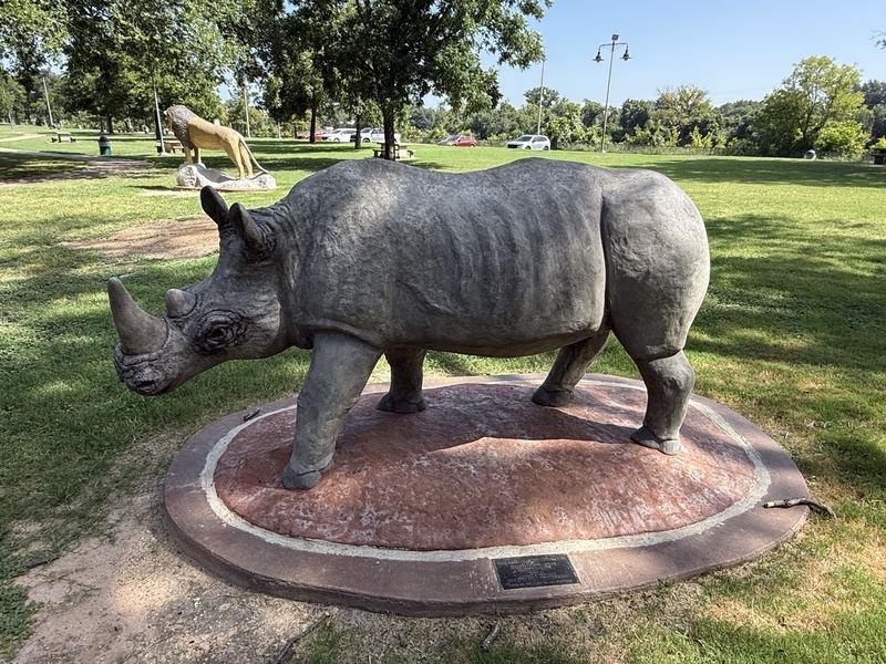 The Rhino Who Has Heard Every Joke — White Rhino, Waco, Texas