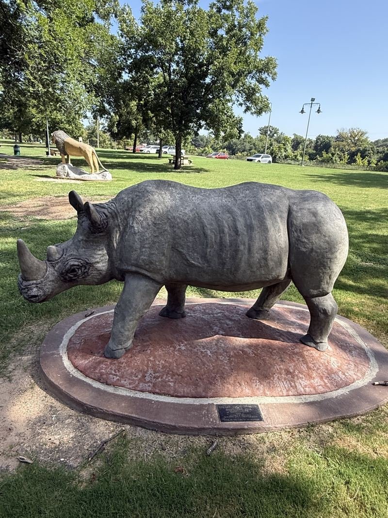 The Rhino Who Has Heard Every Joke — The horn, up close