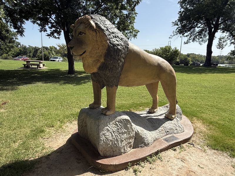 The Lion Who Owns the Place — African Lion, Waco, Texas