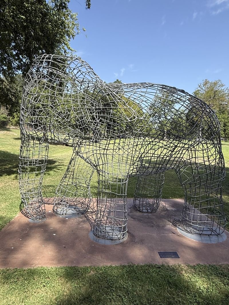 The Ones Made of Air — The calf, a half-step behind