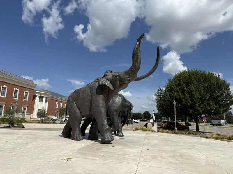 The First Herd — The bull, trunk raised