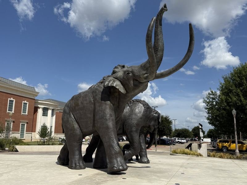 The First Herd — Tusks against the Texas sky