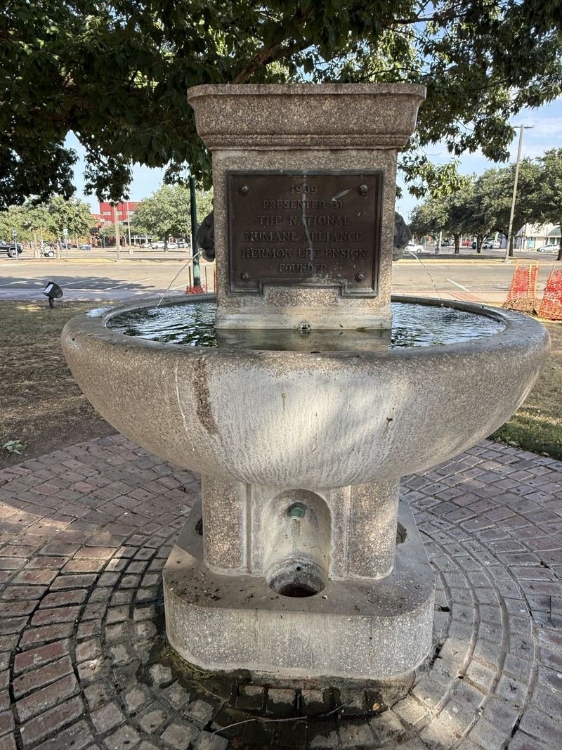 The Fountain for Horses — Water still in the bowl