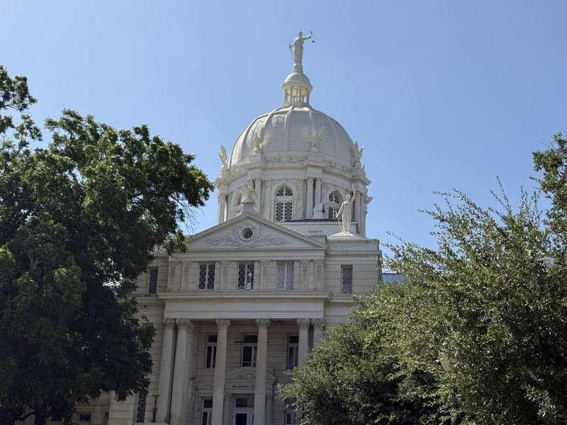 The Lady Who Lost Her Arm in a Storm — The dome through the live oaks