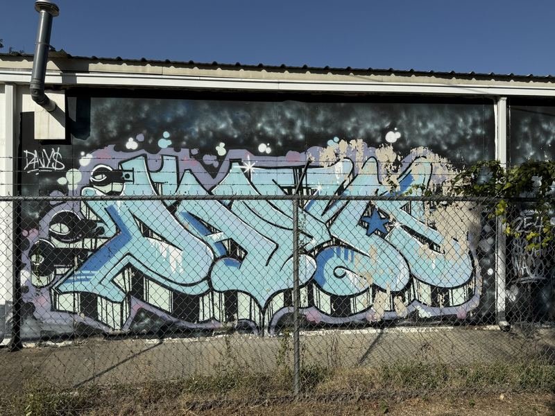 254 South Waco — The piece: ice-blue wildstyle