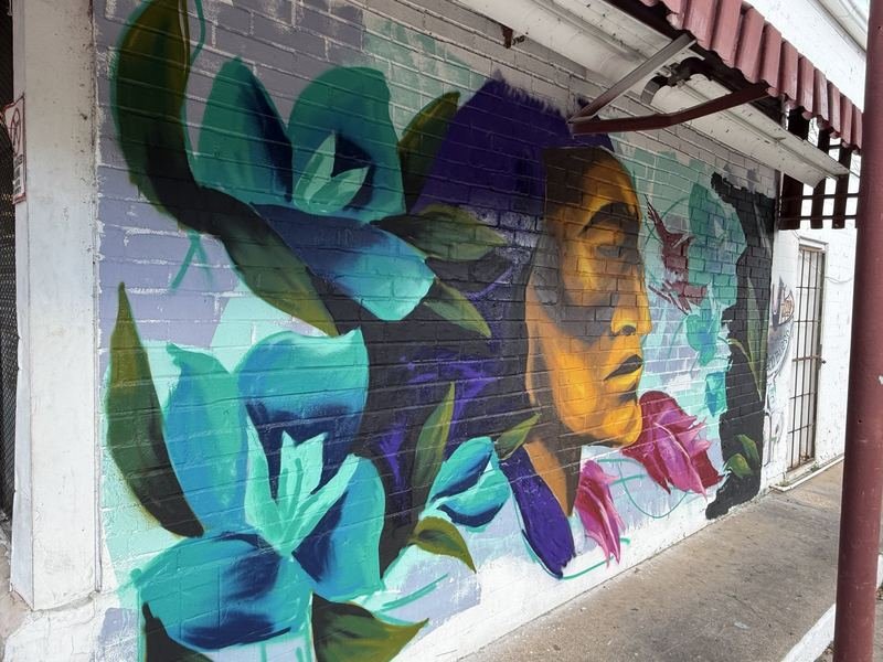 Two Faces on North 26th — Closer — the red bird at the lips