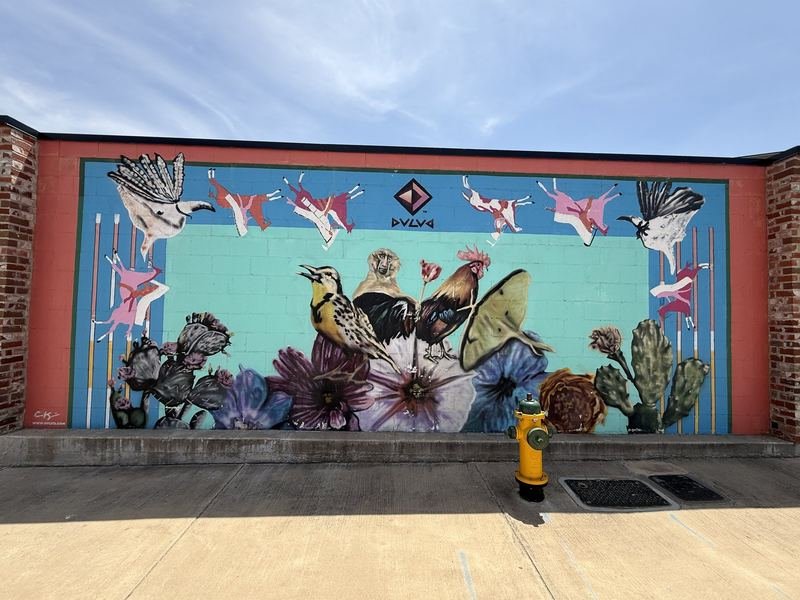 The Wall Where Everything Got Bigger — Untitled birds-and-blooms mural, Waco, Texas