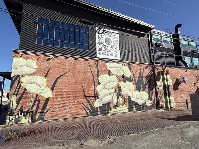 The Wall That Swears It's Nothing — Nothing to See Here, Waco, Texas