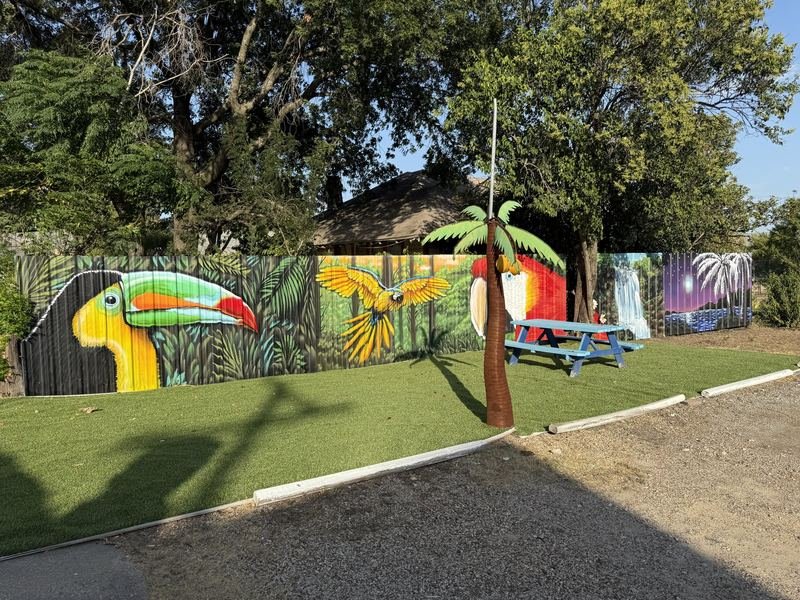 The Backyard Jungle — Patio murals at Rosita's, Waco, Texas