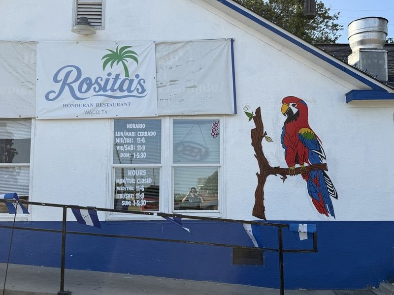 The Backyard Jungle — The greeter: a scarlet macaw by the sign