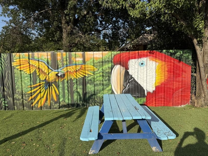 The Backyard Jungle — Picnic tables, with parrots