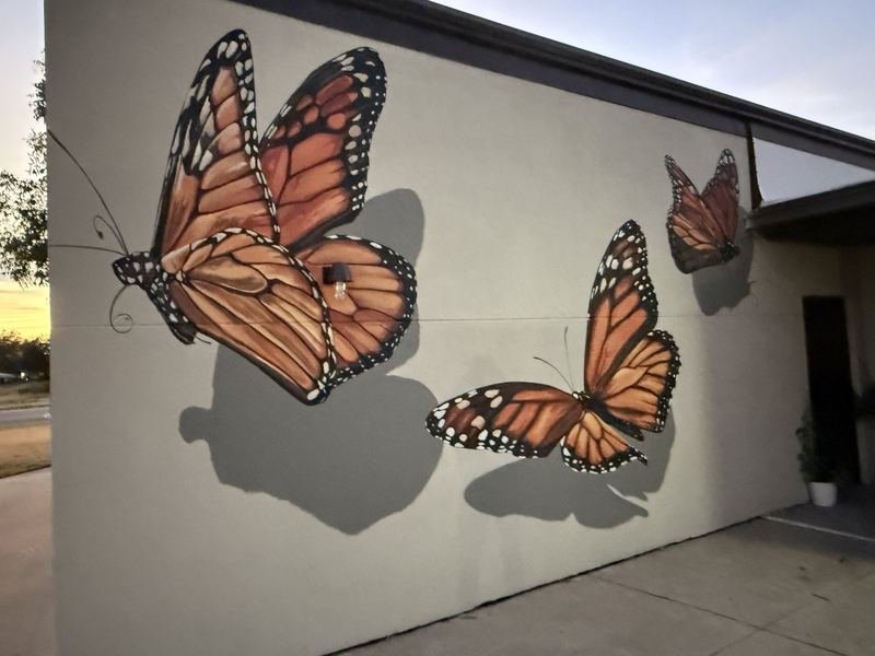 You Are Loved — The monarchs, close