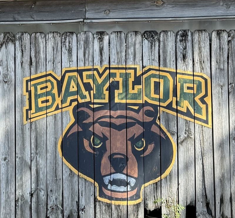 The Bear on the Fence — Closer — the bear, board by board