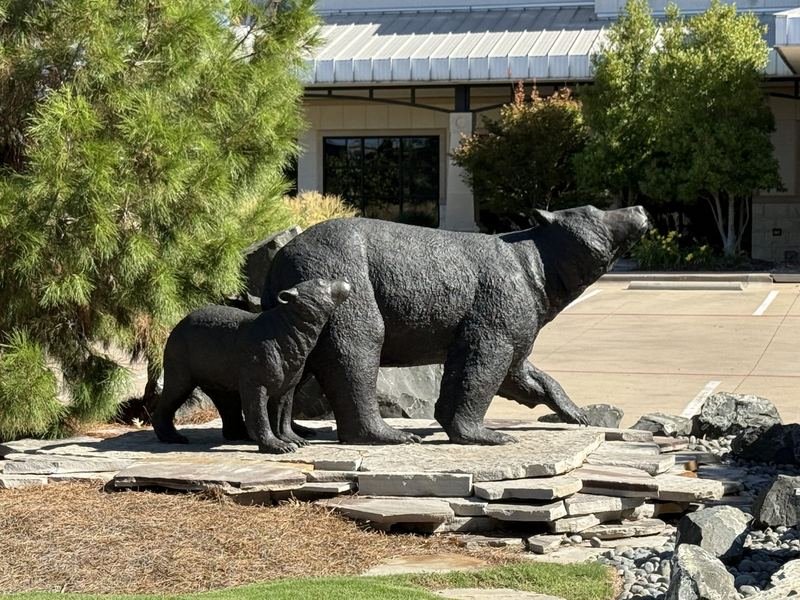 Three Bears, Fully Insured — Your Bank for Life,, Waco, Texas