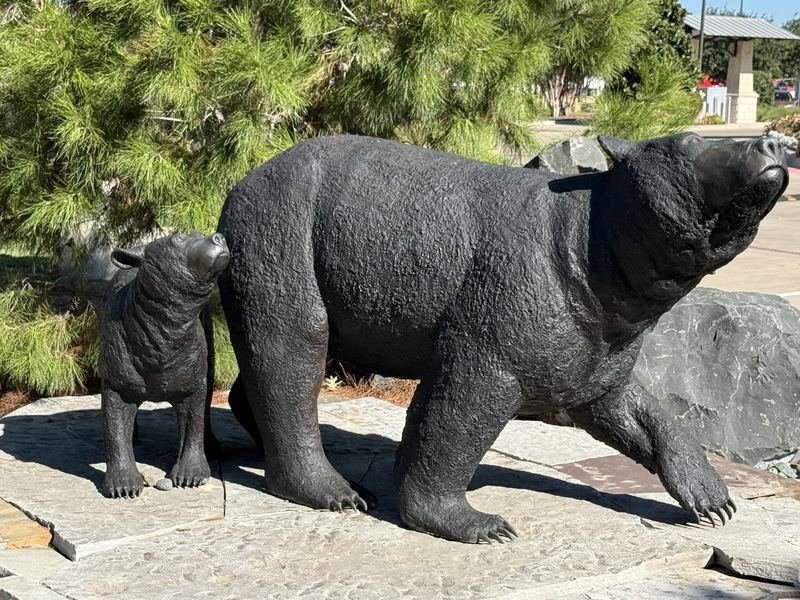 Three Bears, Fully Insured — The cub, nose up, asking questions