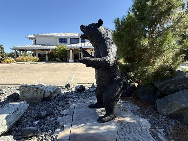 Three Bears, Fully Insured — The big one, standing to full height
